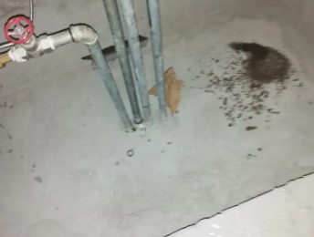 江夏卫生间测漏水价格明细