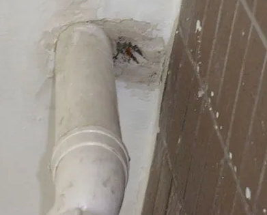 江夏漏水检测哪家好